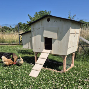 Gallinero 4-6 Gallinas Anti-Ácaros Rojos