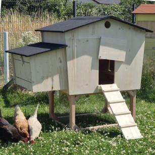 Gallinero 4-6 Gallinas Anti-Ácaros Rojos