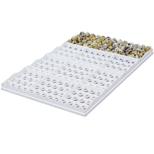 Bandeja de Incubación 208 Huevos de Codorniz