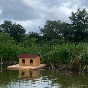 Nichoir Îlot Flottant Anti-Prédateur pour Canard (1 Nid) | Fabrication Française