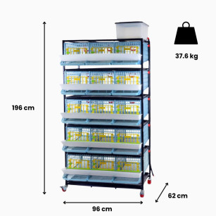 Cage 5 Étagères pour Cailles Pondeuses - Eggceterra