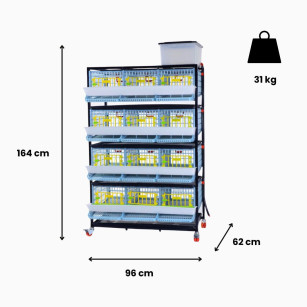 Jaula Para Codornices Ponedoras Jumbo 4 Niveles