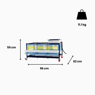 Jaula para Codornices Ponedoras 1 Piso | Comprar