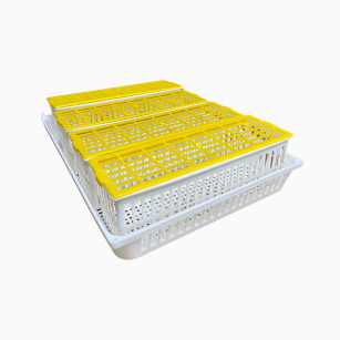 Panier d'éclosion 6 œufs CS6 - Élevage facile Eggceterra