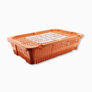 Caja de Transporte para Codornices y Palomas