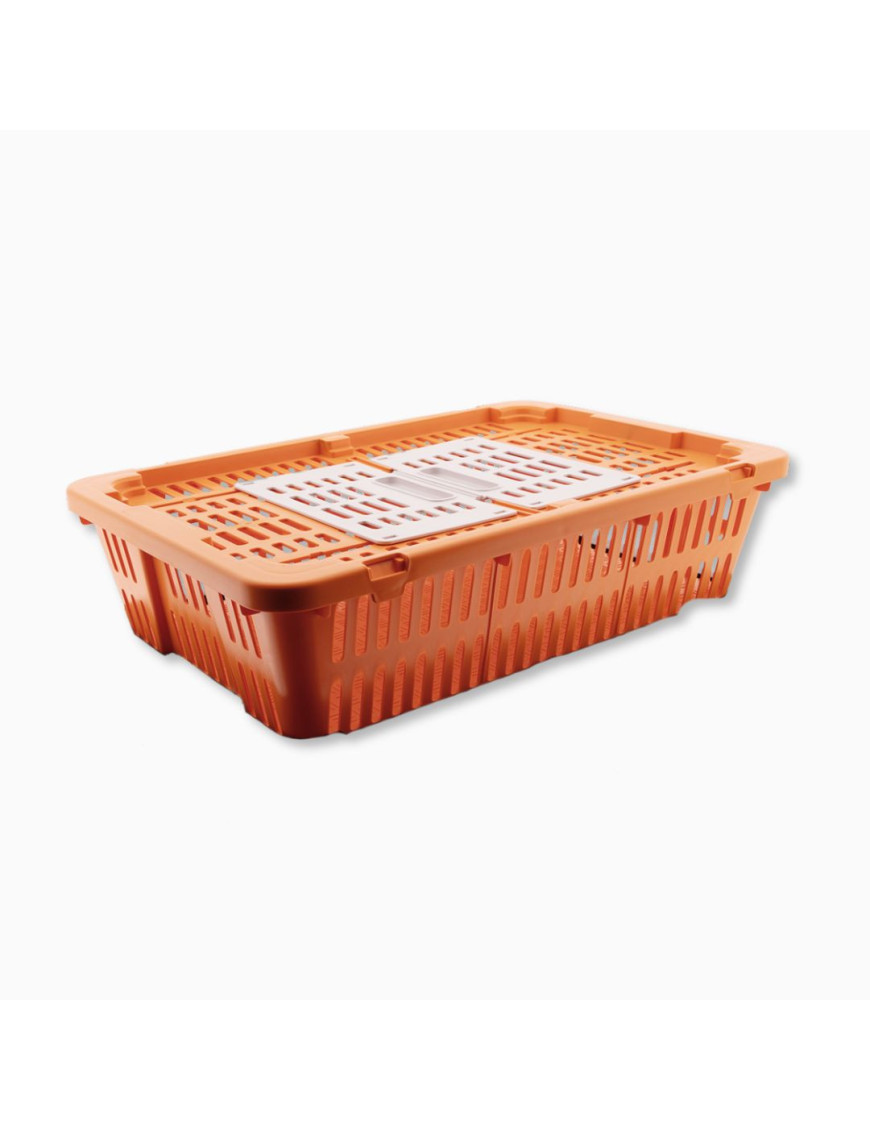 Caja de Transporte para Codornices y Palomas