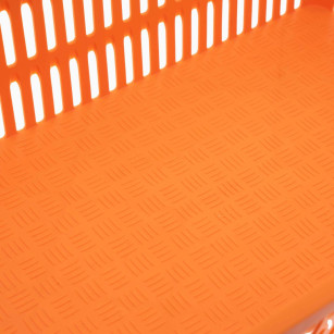 Caja de Transporte para Codornices y Palomas