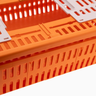 Caisse Transport Cailles & Pigeons OLBA | Sécurité & Hygiène