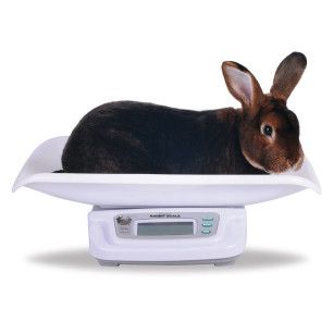 Balance Digitale Lapin & Volaille 20 kg | Précision 5 g OLBA