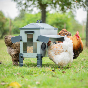 Comedero ROBUST® 18kg Bajo | Antidesperdicio y Acero Galvanizado