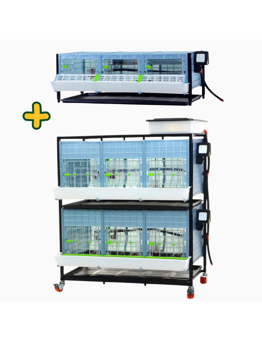 Poussinière Cimuka Combinée 3 Niveaux | Élevage Évolutif Pro