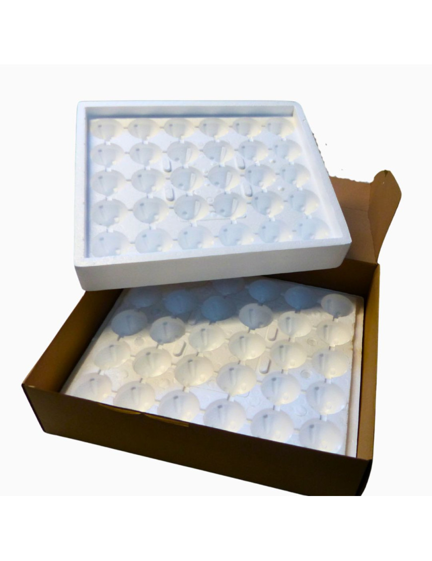 Pack de 5 Cajas de Envío para 30 Huevos - Compra Online