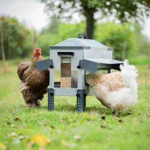 Comedero Gallinas ROBUST® Feeder Apertura Ancha 16 kg