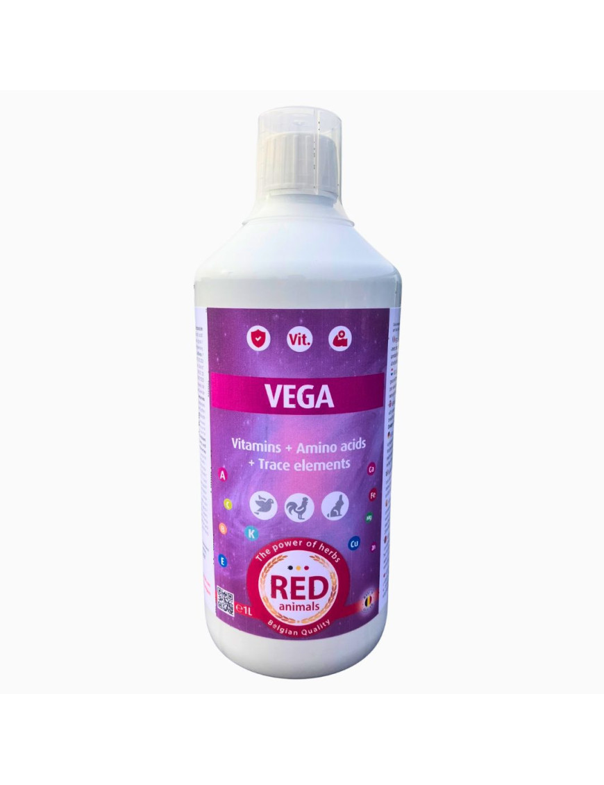 Vega 1L | Multivitamines & Acides Aminés Volailles, Lapins, Pigeons
