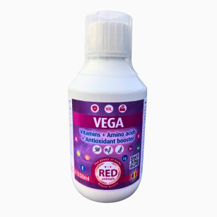 Vega 250ml | Complexe Vitamines & Acides Aminés | Format Pratique