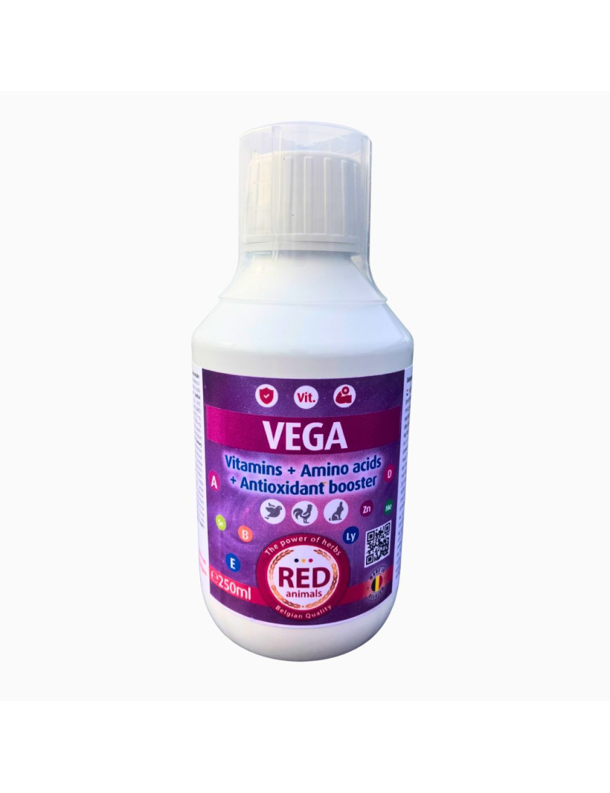 Vega 250ml | Complexe Vitamines & Acides Aminés | Format Pratique