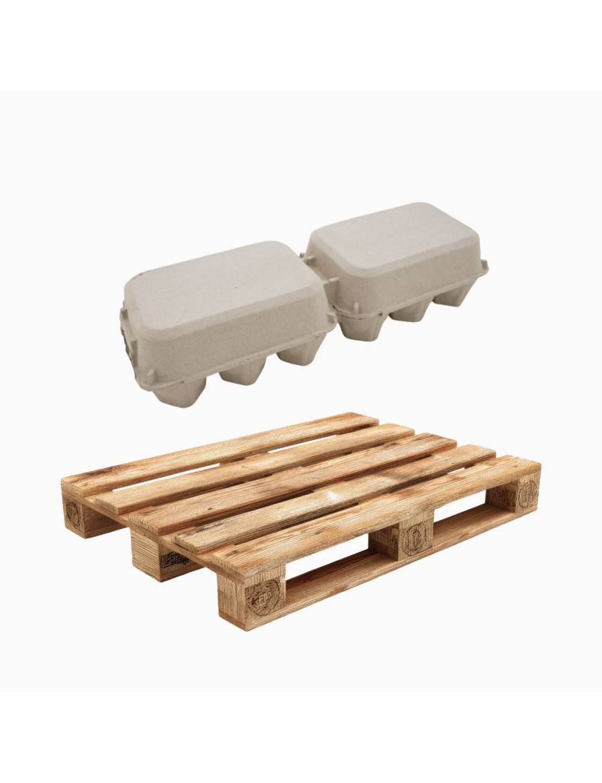 Palette 3968 Boîtes à Œufs 2x6 Sécables | Prix Grossiste Eggceterra