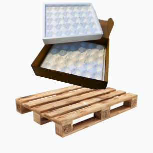 Palet de 24 cajas de 5 Envases Listos para Enviar de 30 Huevos | Envío OAC Pro