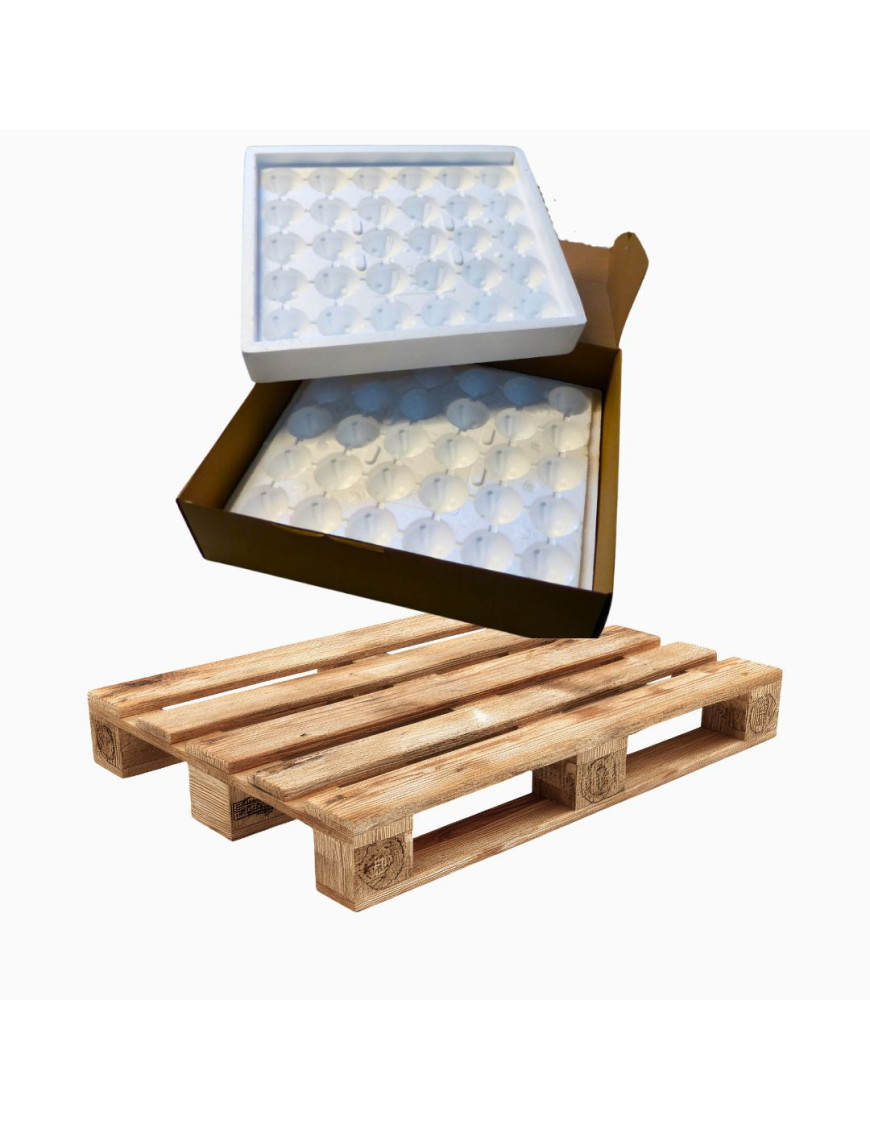 Palet de 24 cajas de 5 Envases Listos para Enviar de 30 Huevos | Envío OAC Pro