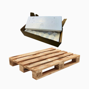 Pack de 240 Cajas para Envío de 12 Huevos | Envío Seguro OAC