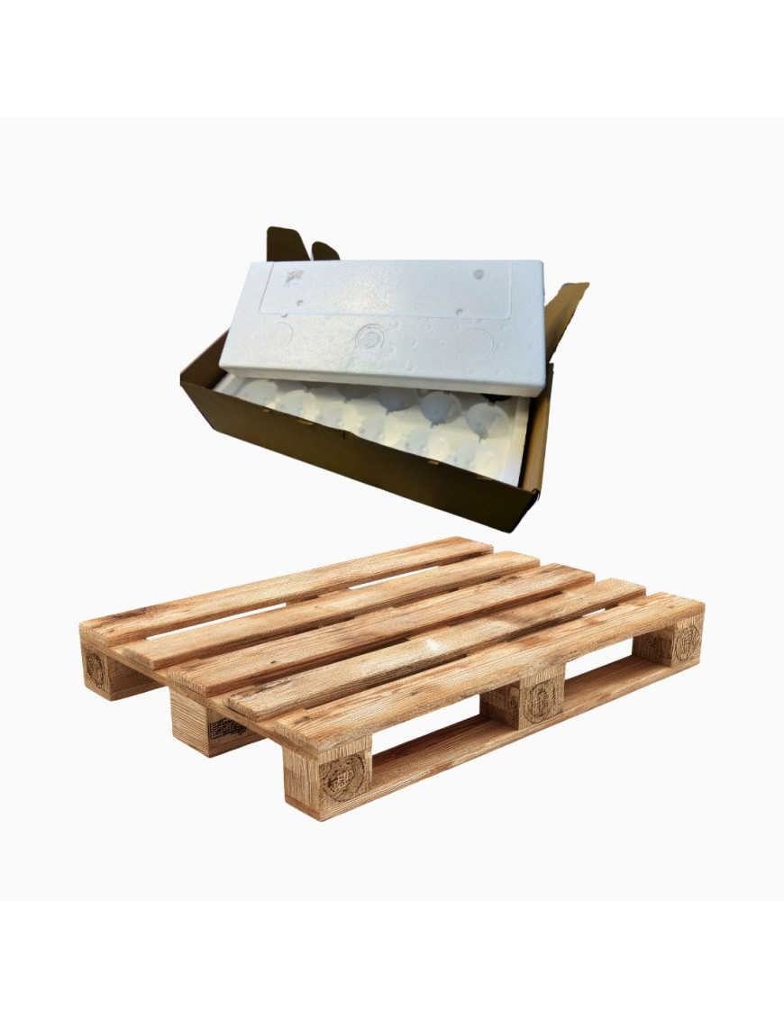 Pack de 240 Cajas para Envío de 12 Huevos | Envío Seguro OAC