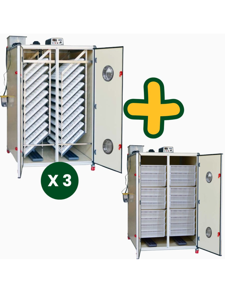 Kit 3 incubateurs automatiques professionnels T4800S + Eclosoir professionnel T4800H