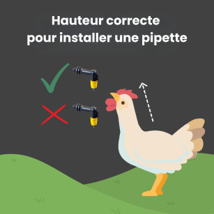 Abreuvoir Automatique Pipette - Pratique & Rapide | Eggceterra