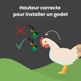 Bebedero Automático Para Gallinas AviAqua 8 Litros + Copas