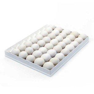 Bandeja de Incubación 40 Huevos de Oca | Cría