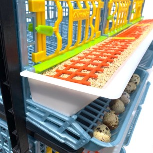 Jaula Para Codornices Ponedoras 4 Pisos | Comprar