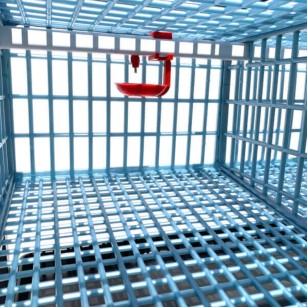 Jaula Para Codornices Ponedoras 4 Pisos | Comprar