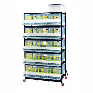 Jaula para Codornices Ponedoras de 5 Niveles