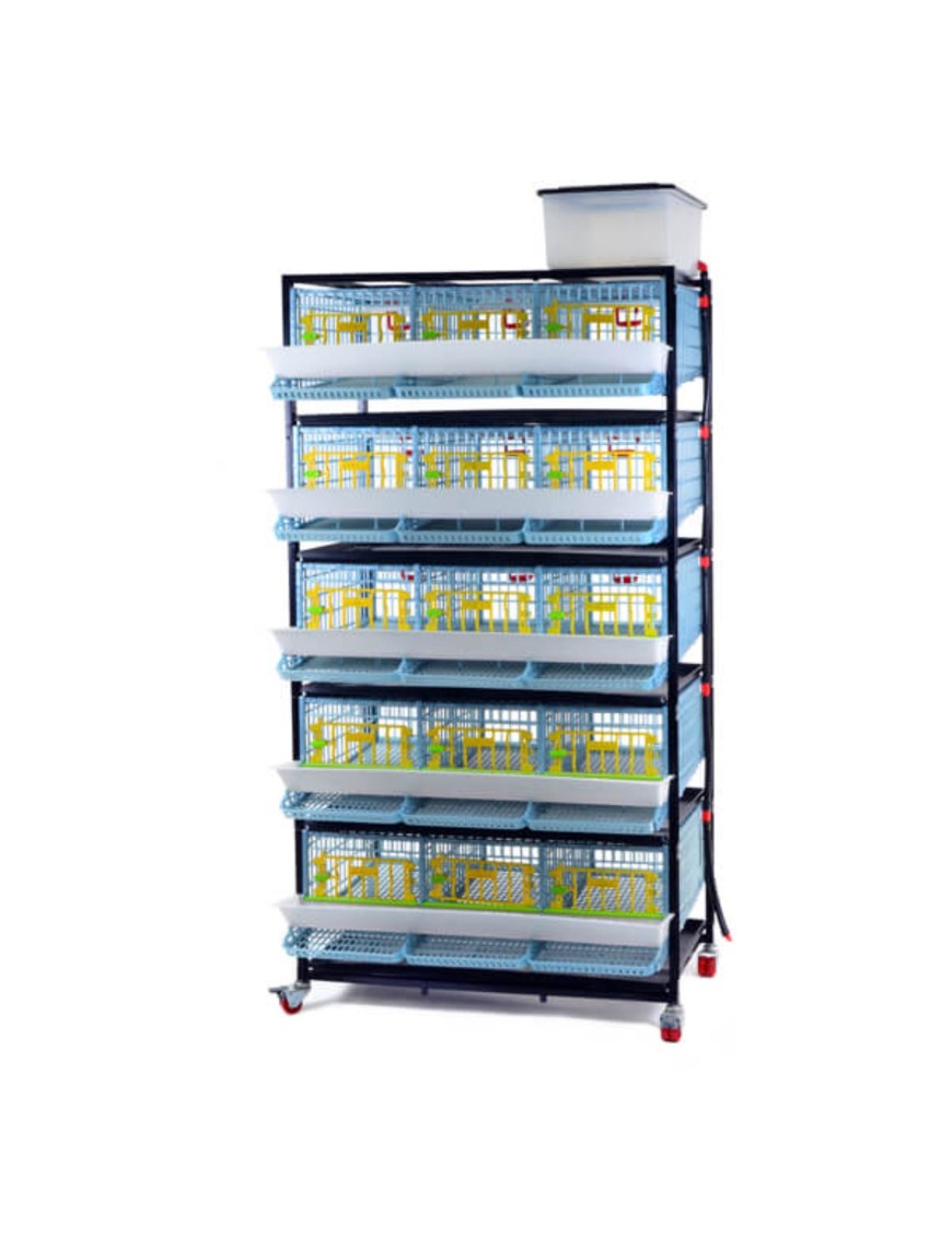 Cage 5 Étagères pour Cailles Pondeuses - Eggceterra