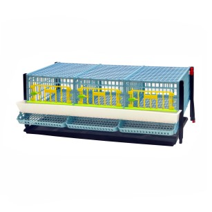 Piso Adicional para Jaula de Codornices Ponedoras