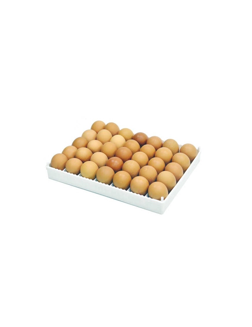 Bandeja de Incubación Modular Flexy35Y - Optimiza Tu Cría