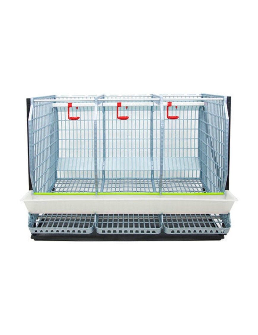 Cage A Poule Mot Croise