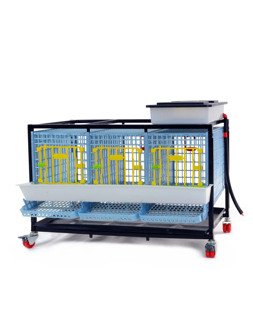 Jaula de Cría para Perdices 1 Piso - Avicultura