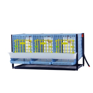 Piso Adicional para Jaula de Cría de Perdices