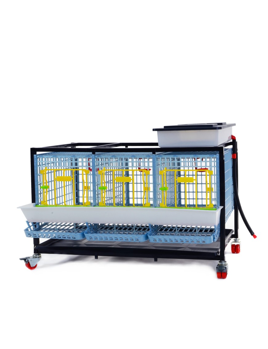 Jaula Para Gallinas Ponedoras 1 Piso (h:40 cm) - Calidad