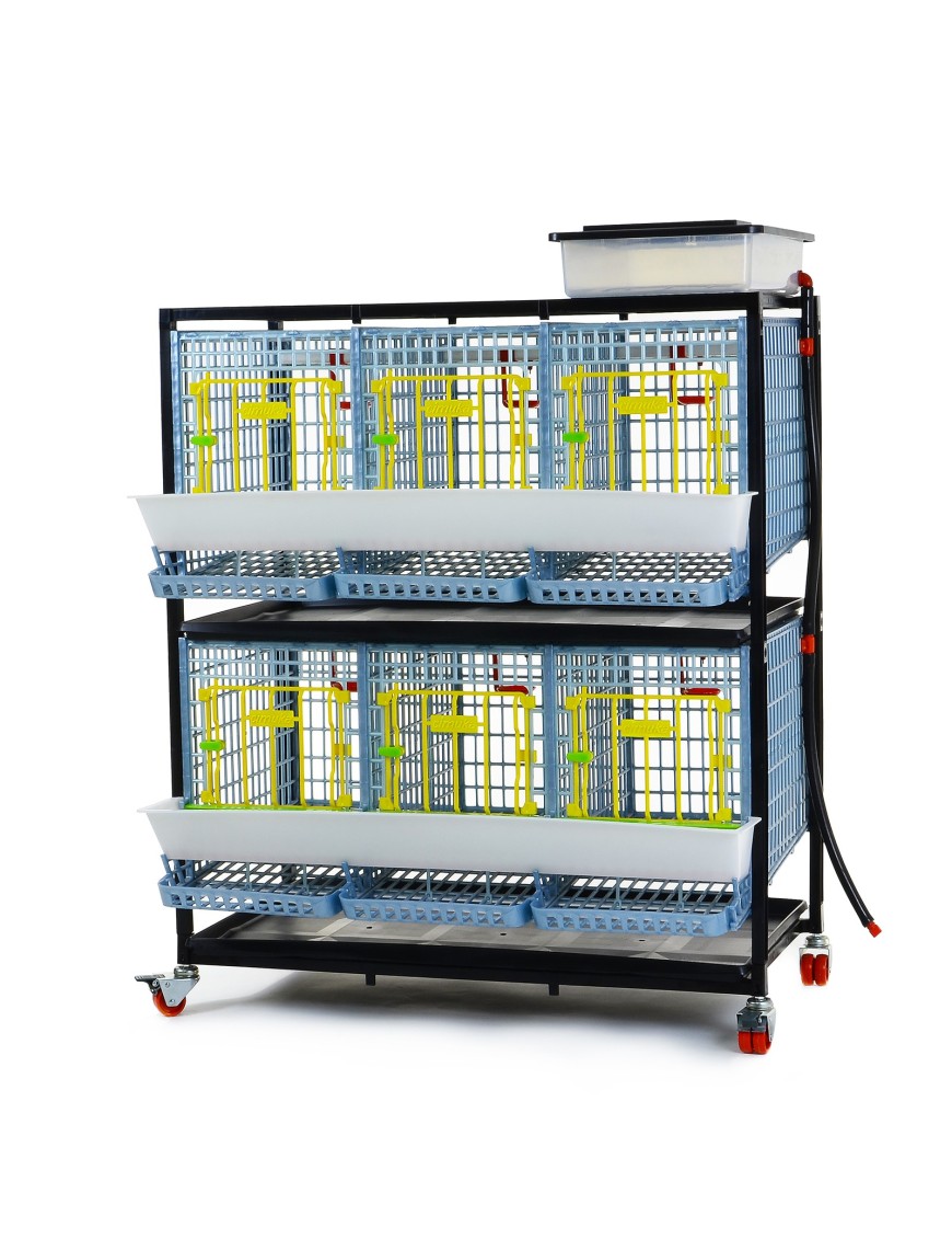 Jaula Para Gallinas Ponedoras 2 Pisos (h:40 cm)