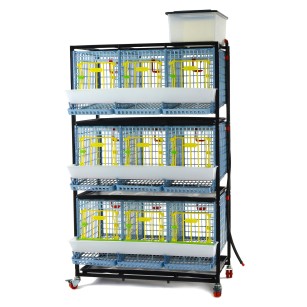 Jaula Para Gallinas Ponedoras 3 Pisos (H: 40 cm)