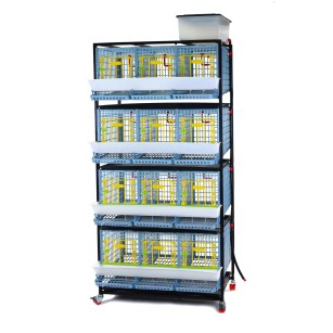 Jaula Para Gallinas Ponedoras 4 Niveles (H:40 cm)