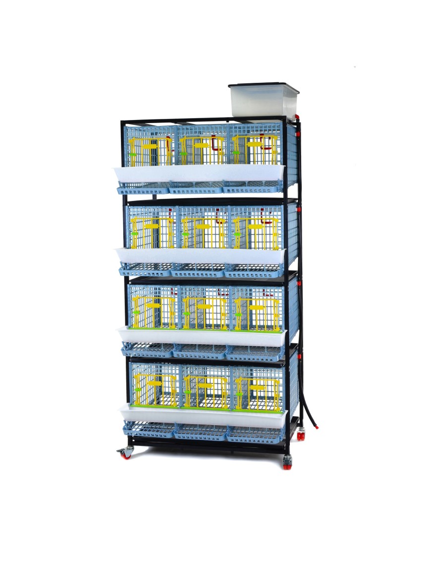 Jaula Para Gallinas Ponedoras 4 Niveles (H:40 cm)