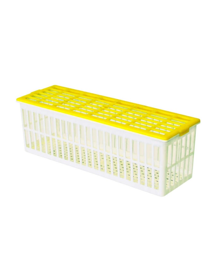 Cesta de Eclosión 6 Huevos CS6 - Cría Fácil