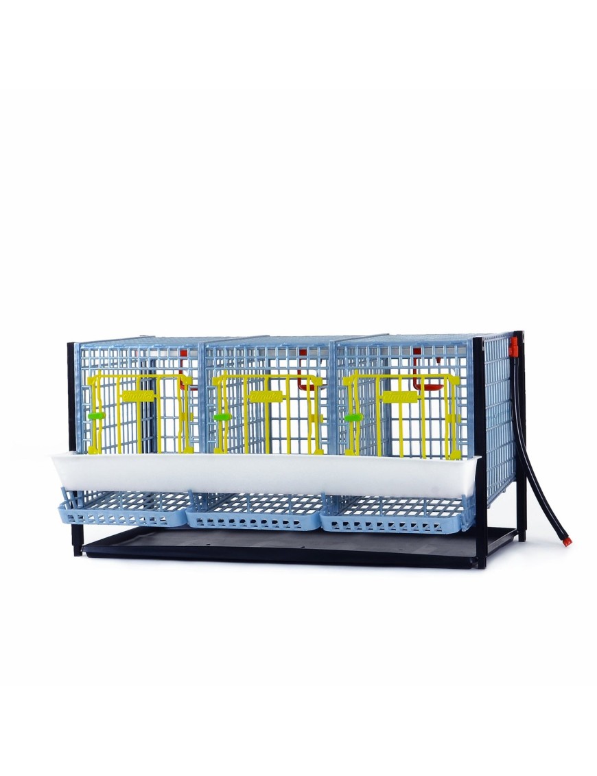 Cage A Poule Mot Croise