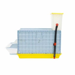 Jaula de Crecimiento 1 Sección (H: 25 cm)