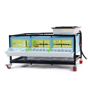 Jaula de Crecimiento 1 Nivel (H: 25 cm) - Cría