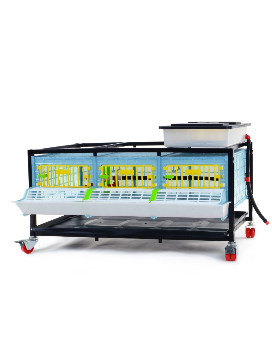 Jaula de Crecimiento 1 Nivel (H: 25 cm) - Cría