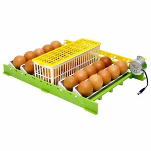 Cesta de Eclosión 6 Huevos CS6 - Cría Fácil