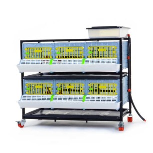 Jaula de Crecimiento 2 Niveles (H: 25 cm)